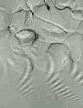 微信图片_20180316092242.gif