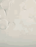 微信图片_20180316082921.gif