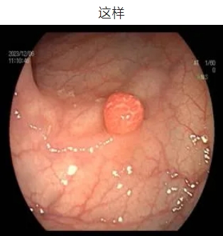 微信截图_20240826162118.png