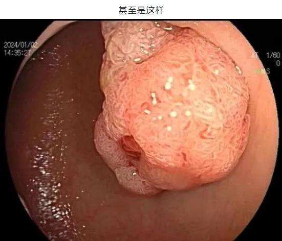 微信截图_20240826162146.png
