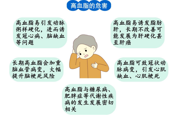 春节将至,警惕高血脂这个“隐形杀手”140.png
