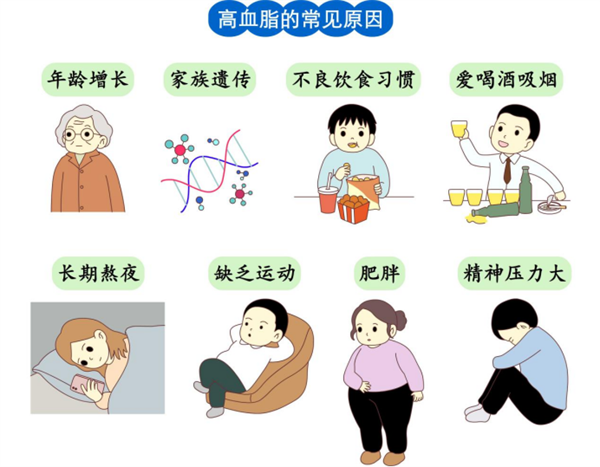 春节将至,警惕高血脂这个“隐形杀手”138.png