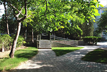Hospital’s surroundings